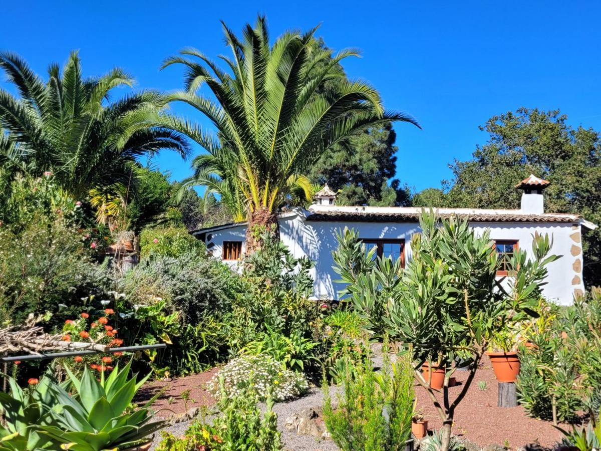 Finca Llano De La Cebolla Icod De Los Vinos Exteriér fotografie
