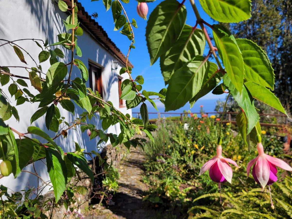 Finca Llano De La Cebolla Icod De Los Vinos Exteriér fotografie