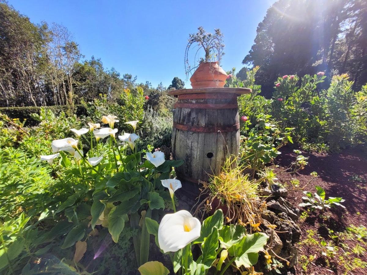 Finca Llano De La Cebolla Icod De Los Vinos Exteriér fotografie