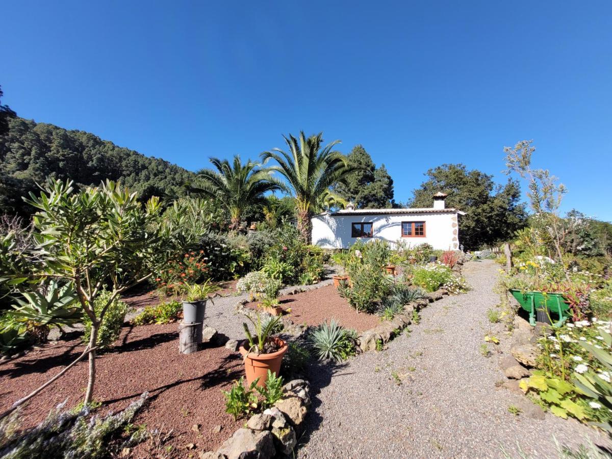 Finca Llano De La Cebolla Icod De Los Vinos Exteriér fotografie
