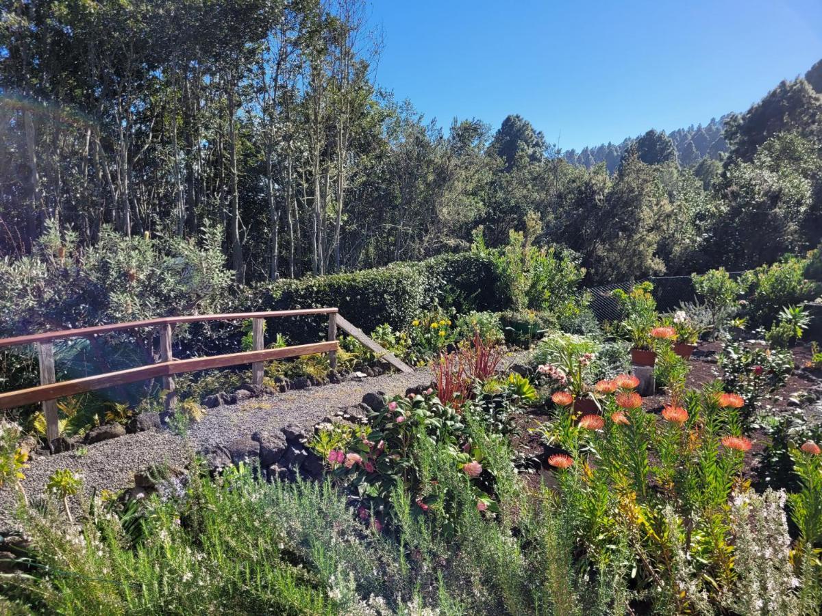 Finca Llano De La Cebolla Icod De Los Vinos Exteriér fotografie