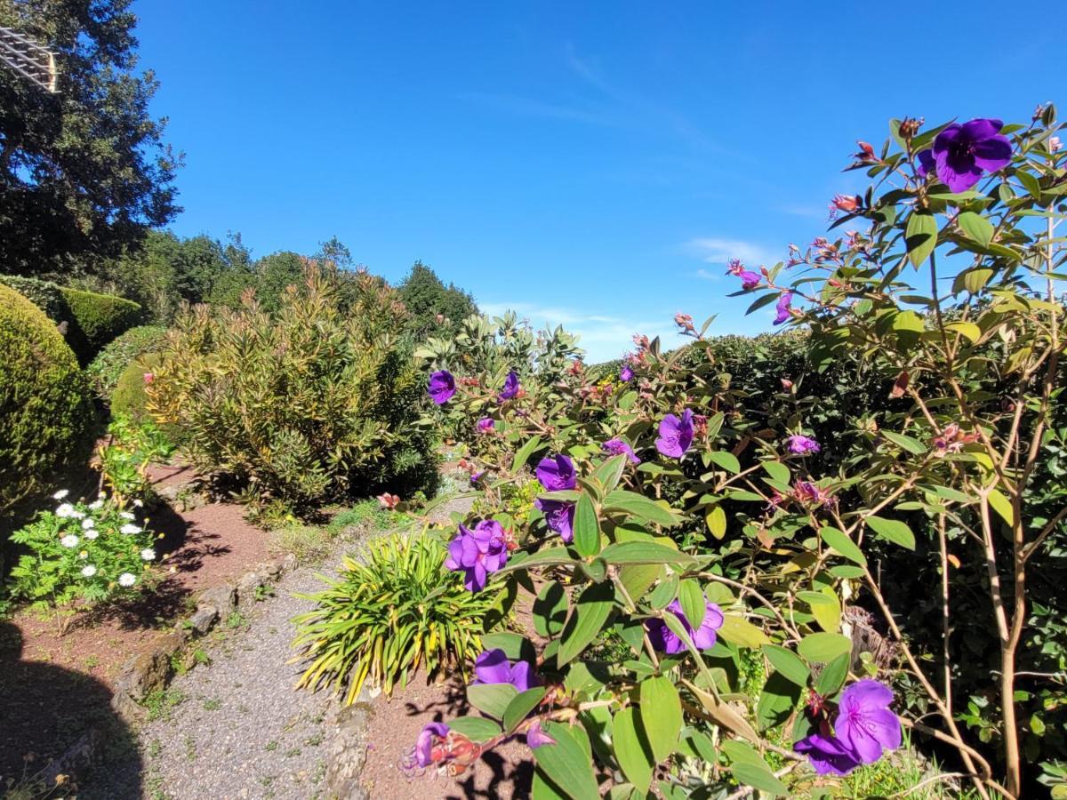 Finca Llano De La Cebolla Icod De Los Vinos Exteriér fotografie